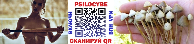 закладка  Духовщина  Галлюциногенные грибы Cubensis 